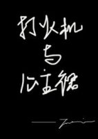 打火机与公主裙 经典语录/名句