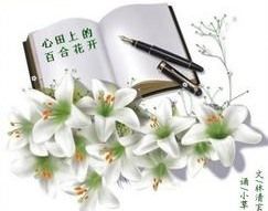 心田上的百合花开 名言/名句/语录