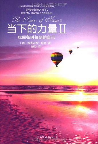 当下的力量II经典语录