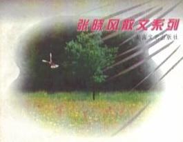 地毯的那一端经典语录