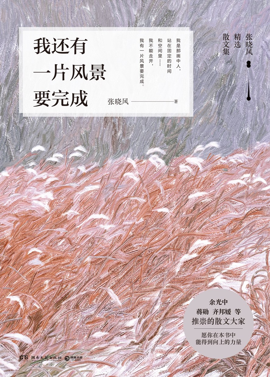 我还有一片风景要完成经典语录