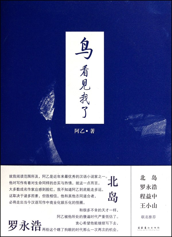 鸟，看见我了经典语录