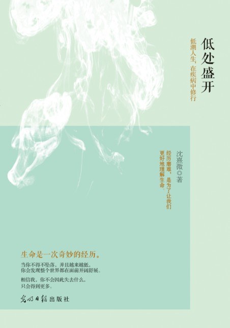 低处盛开经典语录