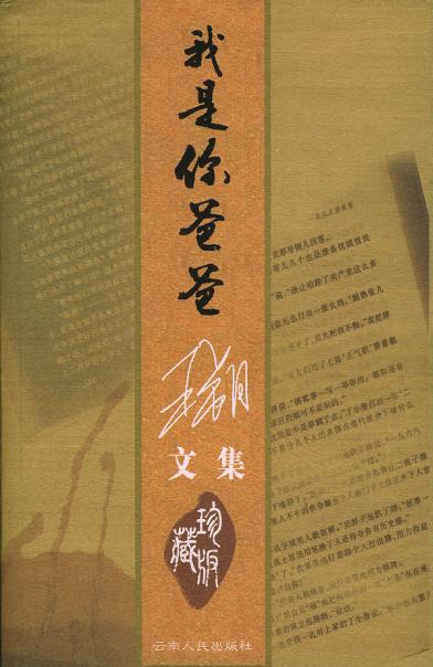 我是你爸爸经典语录
