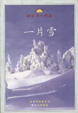 一片雪经典语录