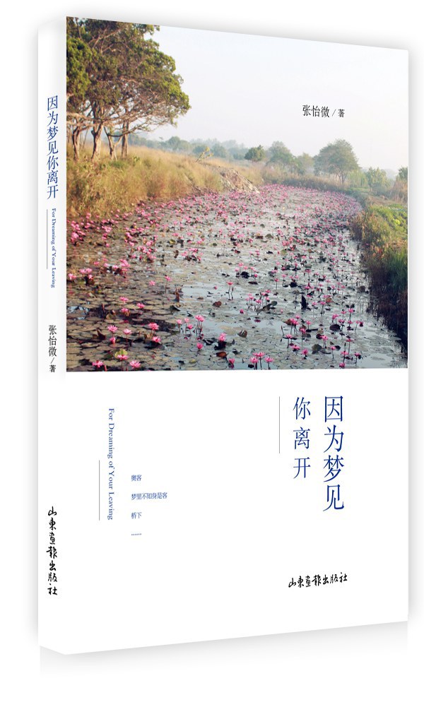 因为梦见你离开 名言/名句/语录