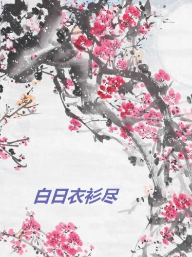 白日衣衫尽经典语录