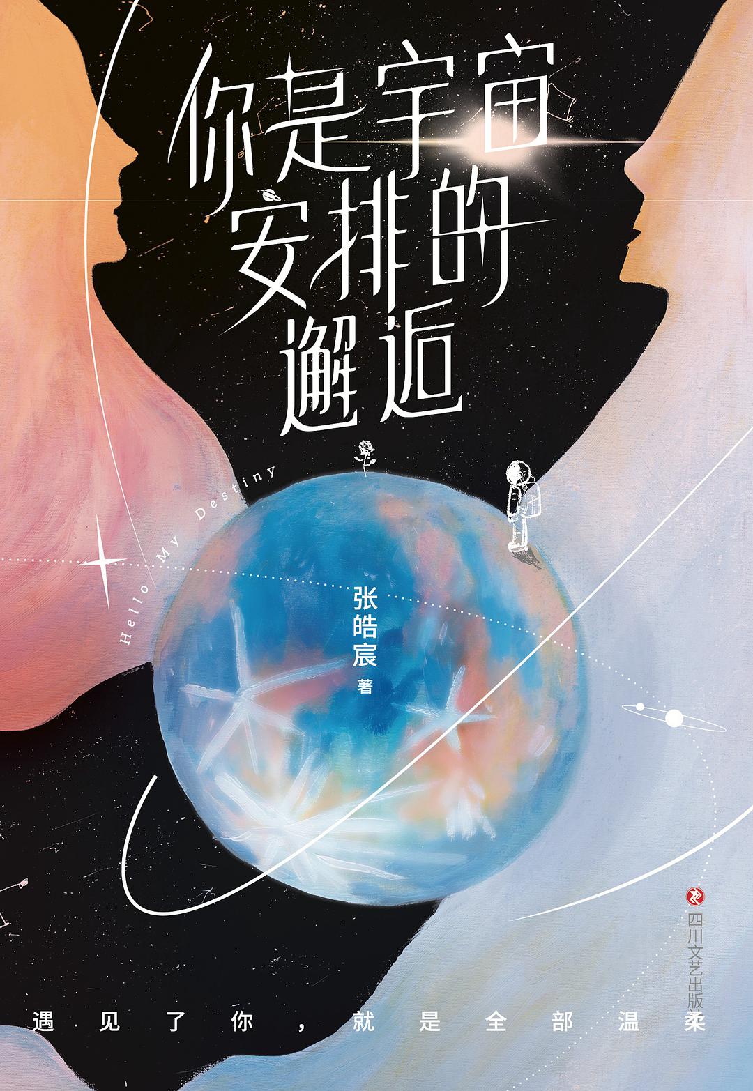 你是宇宙安排的邂逅 名言/名句/语录
