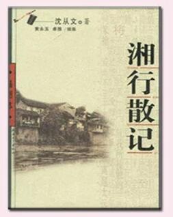 鸭窠围的夜经典语录