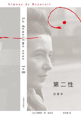 第二性简介