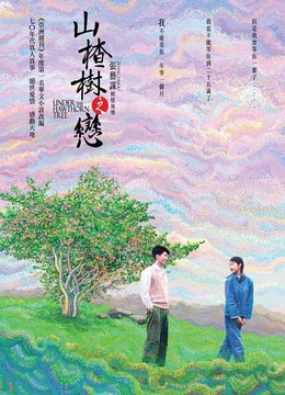 山楂树之恋经典语录