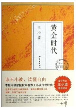 黄金时代经典语录