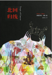 北回归线经典语录