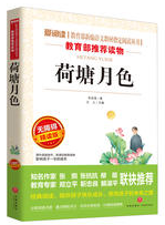 荷塘月色经典语录