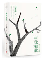 树犹如此经典语录