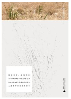 大地上的事情 名言/名句/语录