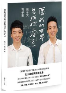 愿我的世界总有你二分之一经典语录